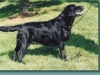 betsy2